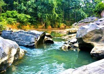 Grandma’s Mahd Rapa Jel