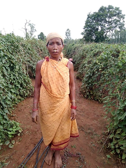 Woman Farmer Phulmati Gadaba