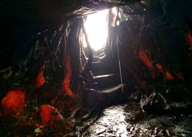 लुगु बाबा की गुफा का रास्ता