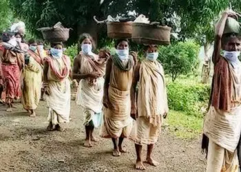 The Indian Tribal | PVTGs in Odisha