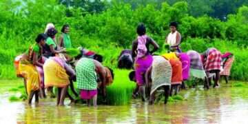 Dongria Tribals Of Odisha