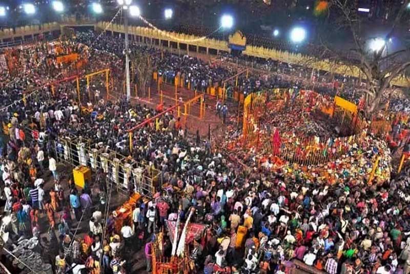 Devotees in large numbers at the Medaram Jatara