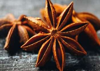 Tribal Health | Tribal Medicine | North East Practitioners Strive To Keep Tribal Medicine System Alive