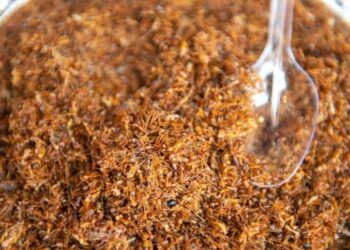 How Chapda Chutney Put Bastar On The Celeb Chef’s Menu