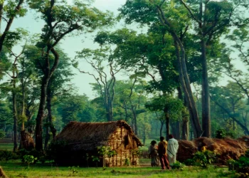 The Indian Tribal