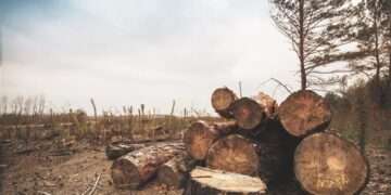 The Indian Tribal News , New Forest Conservation Rules