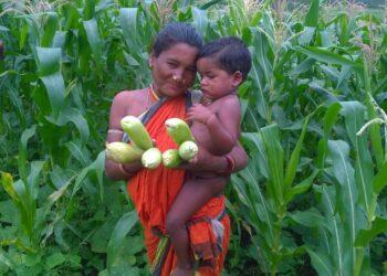 Agriculture