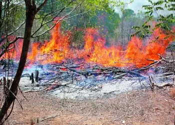 KCR’s Bold ‘Podu’ Land Move Queers Pitch For Opponents