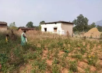 A Home Garden In Odisha