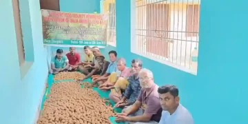 Volunteers engage in making bamboo seed balls | The Indian Tribal