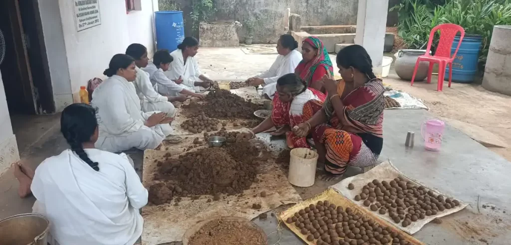 Women busy making bamboo seed balls | The Indian Tribal