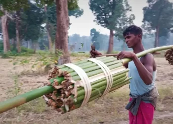 Gudiyapadar Villager With His Day's Toil I The Indian Tribal