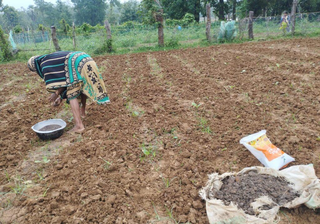 Organic Farming Odisha