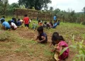 The Indian Tribal | Students bond with nature