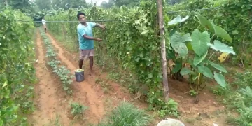 The Indian Tribal | The Integrated Tribal Development Agency (ITDA) taught the Munda, Oraon, Mundari farmers ways to increase their farm yield