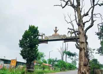 Udaan - women enterprise with tribals in Kondagaon, Bastar | The Indian Tribal