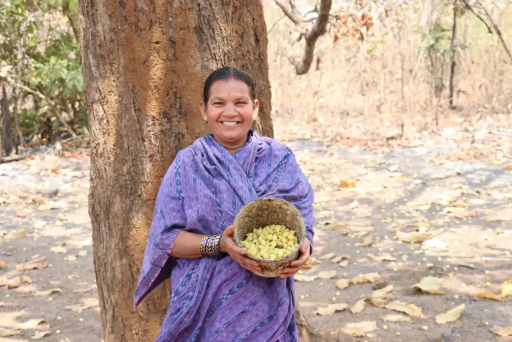 A woman collects minor forest produce from the jungle | The Indian Tribal