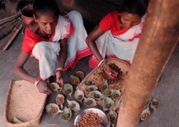 tribal women with collected MFP (tamarind) | The Indian Tribal