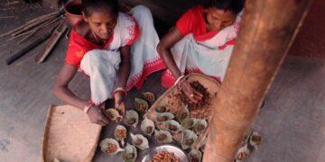tribal women with collected MFP (tamarind) | The Indian Tribal
