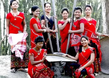 Mishing Tribeswoman In Traditional Attire | The Indian Tribal