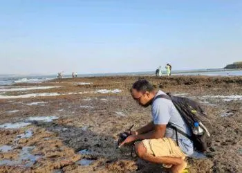 Scientist Dr Prasad Chandra Tudu At Work In Union Territory Diu