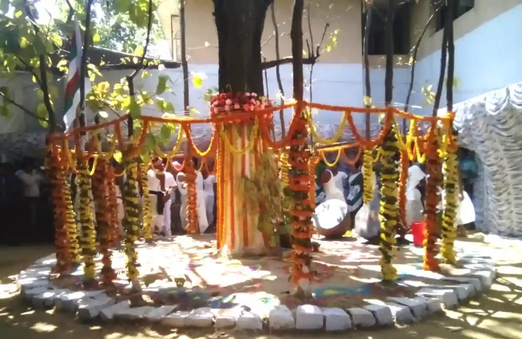 Sarhul Celebrations