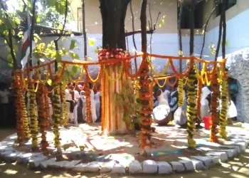 Sarhul Celebrations