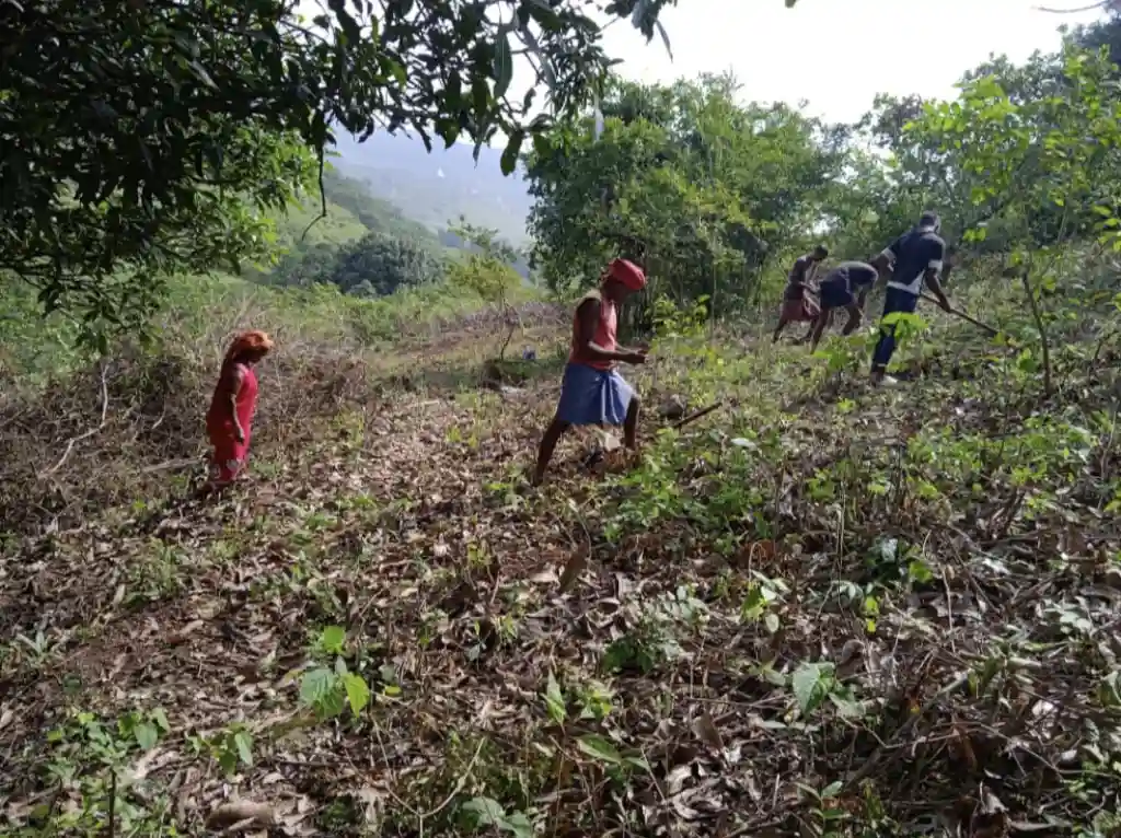 Tribals in afforestation drive