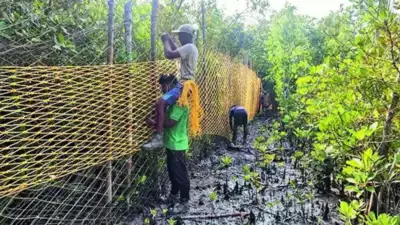 Sundarban, West Bengal | The Indian Tribal