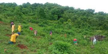 वनरोपण में लगे आदिवासी | The Indian Tribal