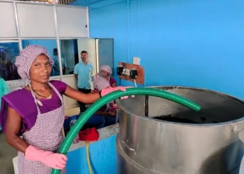 Mahua Heritage Liquour