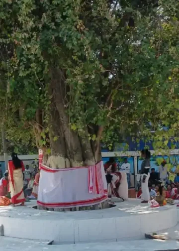 Sarhul Festival | The Indian Tribal