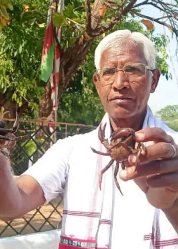 Sarhul Festival | The Indian Tribal