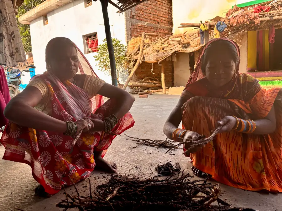 The Indian Tribal