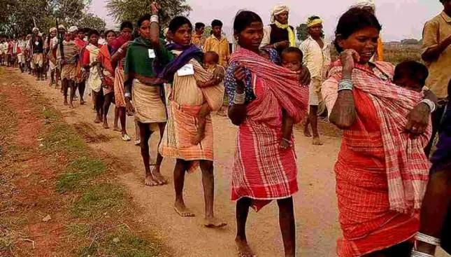 The Indian Tribal
