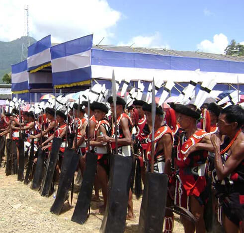 The Indian Tribal