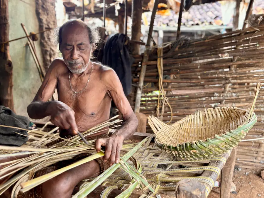 The Indian Tribal