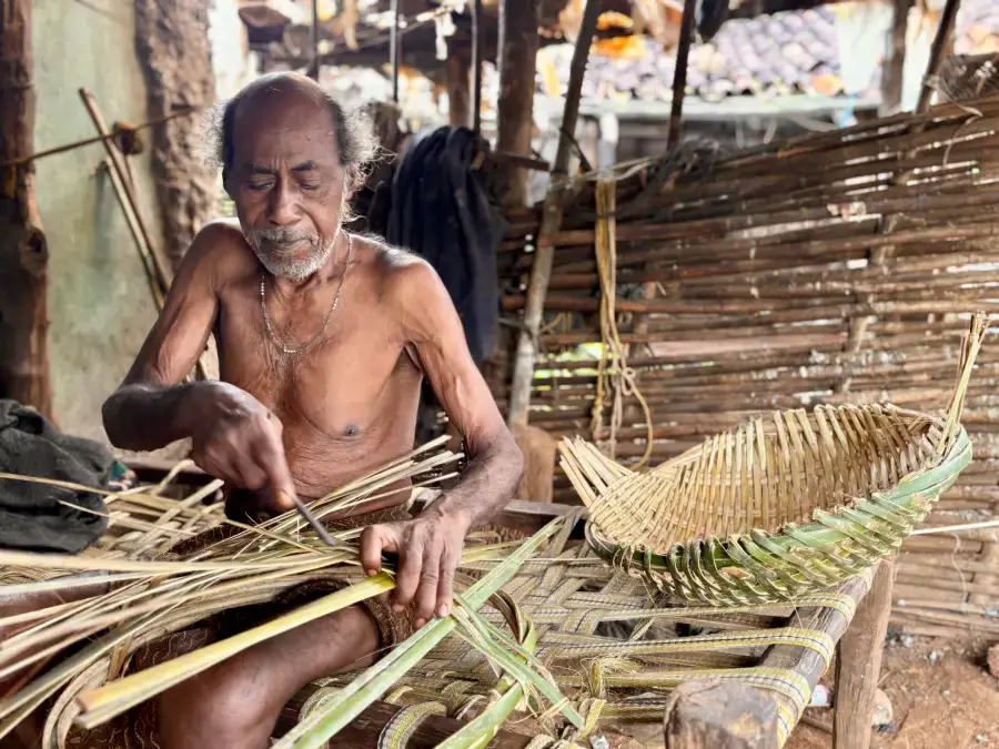 The Indian Tribal