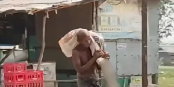 The Indian Tribal