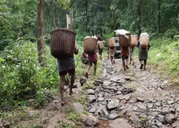 The Indian Tribal