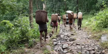 The Indian Tribal