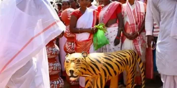 The Indian Tribal