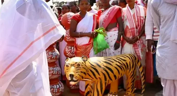The Indian Tribal