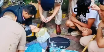 The Indian Tribal