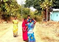 The Indian Tribal