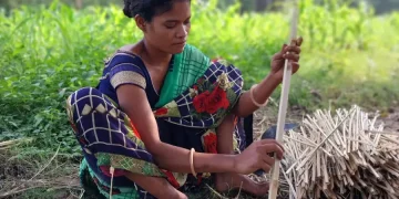 The Indian Tribal