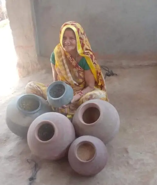 The Indian Tribal