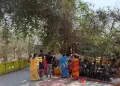 The Indian Tribal