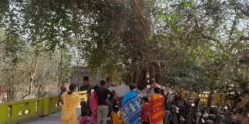 The Indian Tribal