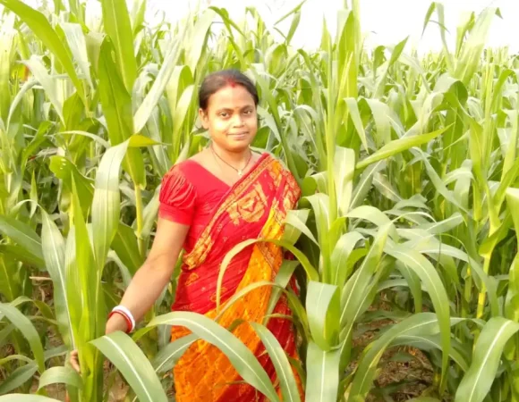 The Indian Tribal